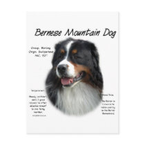 Bernese Mountain Dog History Design Postcard