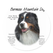 Bernese Mountain Dog History Design Round Stickers