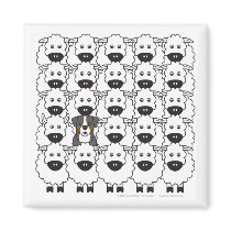 Bernese Mountain Dog in the Sheep magnets