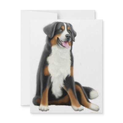 Bernese Mountain Dog Invitation by twopurringcats