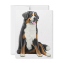 Bernese Mountain Dog Invitation