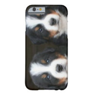 Bernese mountain dog iPhone 6 ID™ iPhone 6 Case
