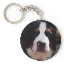 Bernese Mountain Dog Keychain