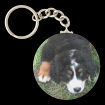 Bernese Mountain Dog keychains