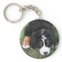 Bernese Mountain Dog Keychains