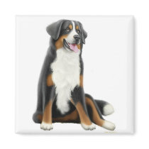Bernese Mountain Dog Magnet