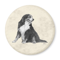 bernese mountain dog magnets