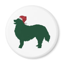 Bernese Mountain Dog Magnets