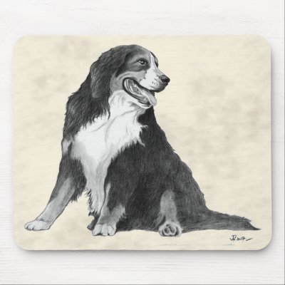 bernese mountain dog mouse mat by catanddog