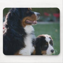 Bernese Mountain Dog Mousepad mousepads