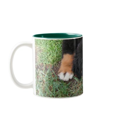 Bernese Mountain Dog Mugs by aura2000