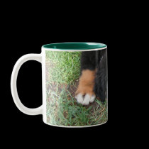 Bernese Mountain Dog mugs