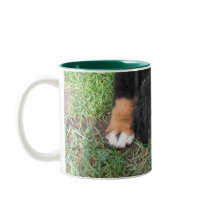 Bernese Mountain Dog Mugs