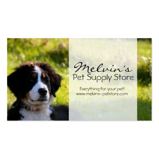 Bernese mountain dog on green grass pet photo business card (front side)