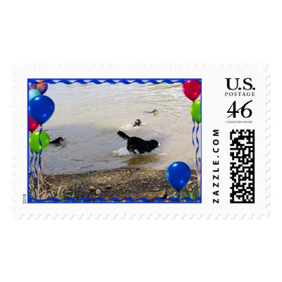 Bernese Mountain Dog Party Stamp by websherman