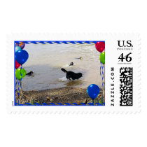 Bernese Mountain Dog Party Stamp