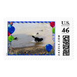 Bernese Mountain Dog Party Stamp