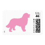 Bernese Mountain Dog (pink silhouette) postage
