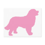Bernese Mountain Dog (pink silhouette) Post Card
