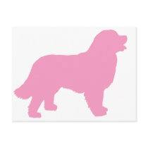 Bernese Mountain Dog (pink silhouette) Post Card