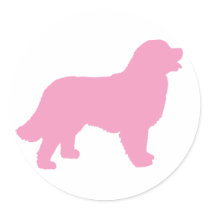 Bernese Mountain Dog (pink silhouette) Sticker