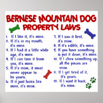 BERNESE MOUNTAIN DOG PL2 POSTER