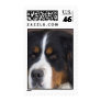 Bernese Mountain Dog Postage