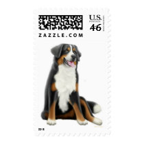 Bernese Mountain Dog Postage