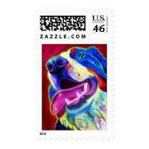 Bernese Mountain Dog Postage Stamps