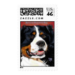 Bernese Mountain dog postage postage