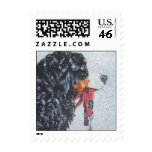 Bernese Mountain Dog Postage Stamp