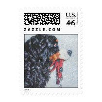 Bernese Mountain Dog Postage Stamp
