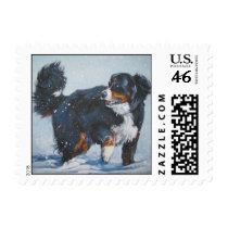Bernese Mountain Dog Postage Stamp