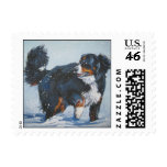 Bernese Mountain Dog Postage Stamp