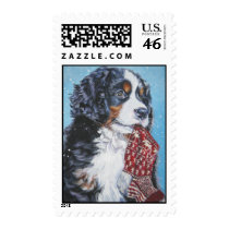 Bernese Mountain Dog Postage Stamp