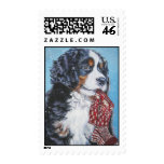 Bernese Mountain Dog Postage Stamp
