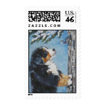 Bernese Mountain Dog Postage Stamp