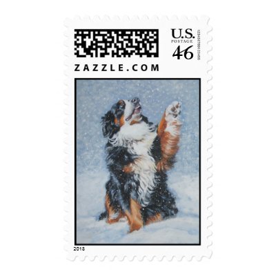 Bernese Mountain Dog postage Stamp by leecod