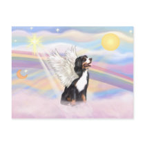 Bernese Mountain Dog Postcards