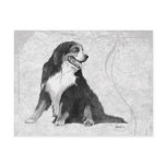 Bernese Mountain Dog Postcards