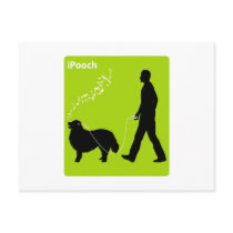 Bernese Mountain Dog Post Card