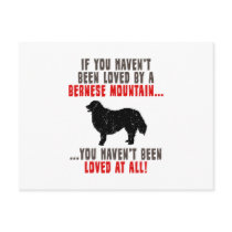 Bernese Mountain Dog Postcards