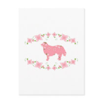 Bernese Mountain Dog Postcard