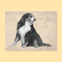 bernese mountain dog postcards by catanddog bernese mountain dog postcards