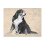 bernese mountain dog post card