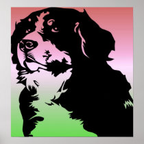 Bernese Mountain Dog Posters