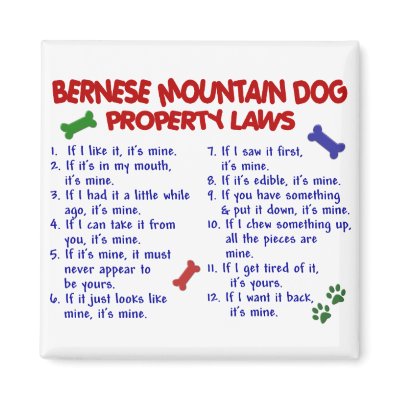BERNESE MOUNTAIN DOG Property Laws 2 Magnet by poochloverstuff