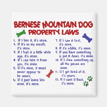 BERNESE MOUNTAIN DOG Property Laws 2 Magnet