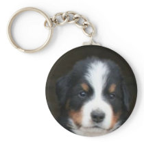 Bernese mountain dog pup keychain