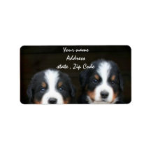 Bernese Mountain dog puppies address label